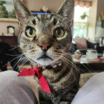 View Gallery Image #1