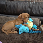 View Gallery Image #1