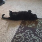 View Gallery Image #1