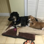 View Gallery Image #1