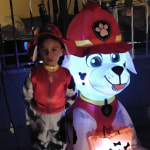 Marshall Hat with Ears 8 1/4in x 5in - PAW Patrol