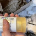 View Gallery Image #11