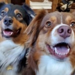 View Gallery Image #12