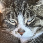 View Gallery Image #15