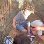 View Gallery Image #1