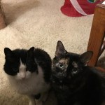 View Gallery Image #4