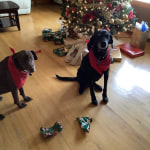 View Gallery Image #10