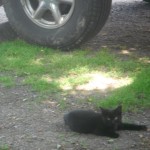 View Gallery Image #2