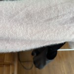 View Gallery Image #2