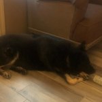 View Gallery Image #8