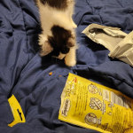 View Gallery Image #13