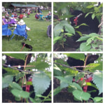 View Gallery Image #10