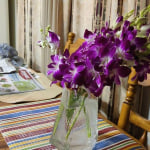 Exotic Breeze™ Orchids | 1800Flowers.com - 146802