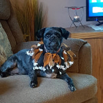 View Gallery Image #13