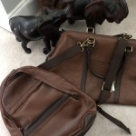 Evan deals backpack fossil