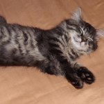 View Gallery Image #2