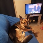 View Gallery Image #6