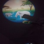 View Gallery Image #10