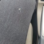 View Gallery Image #7