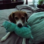 View Gallery Image #2