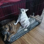 View Gallery Image #2