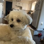 View Gallery Image #3