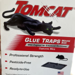 Buy Tomcat 0362310 Mouse Glue Trap (Pack of 12)