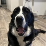 View Gallery Image #9