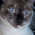 View Gallery Image #2