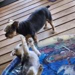 View Gallery Image #15