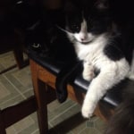 View Gallery Image #7