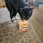 View Gallery Image #11