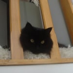 View Gallery Image #5