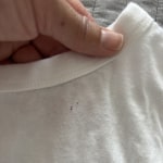 View Gallery Image #6