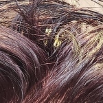 View Gallery Image #2