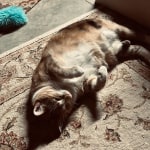 View Gallery Image #1