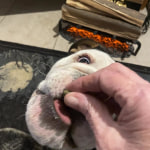 View Gallery Image #10