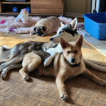 View Gallery Image #10