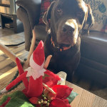 View Gallery Image #1