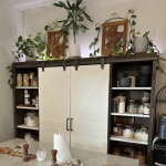World market hotsell barn door bookcase