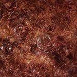 View Gallery Image #5