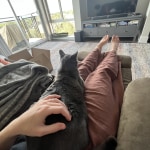 View Gallery Image #1