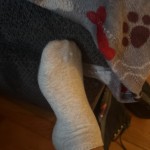 View Gallery Image #8