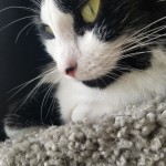 View Gallery Image #8