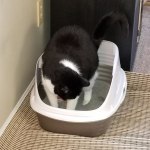 View Gallery Image #9