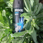 View Gallery Image #8