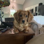 View Gallery Image #13