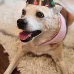 View Gallery Image #1