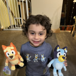 View Gallery Image #8