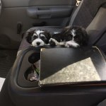 View Gallery Image #6